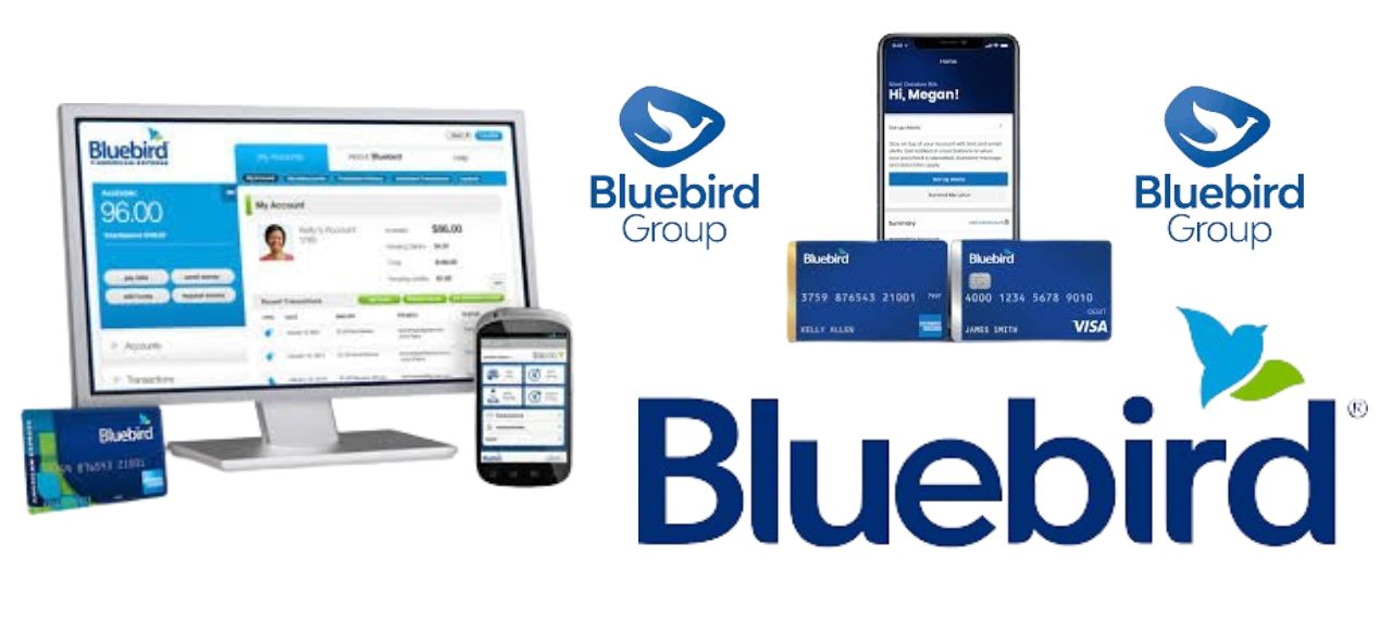 Buy Verified Bluebird Accounts